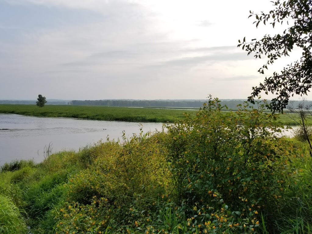 St. Croix Islands State Wildlife Area | Somerset, WI 54025, USA | Phone: (888) 936-7463