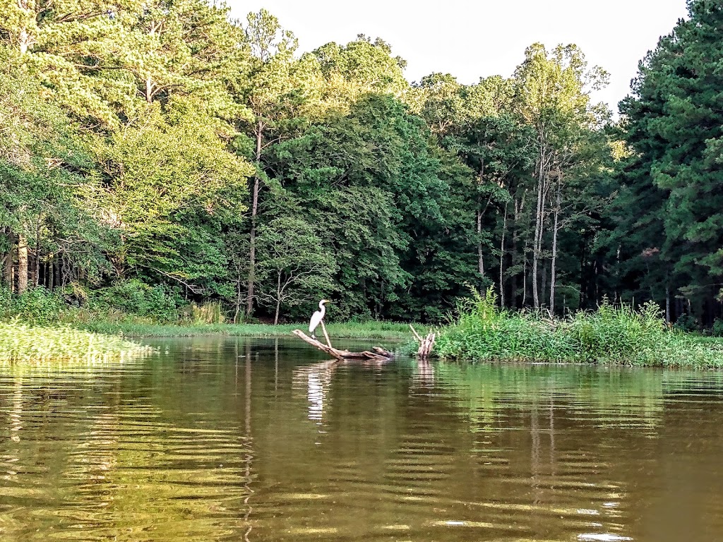 Longleaf Shelter - Harris Lake County Park | New Hill, NC 27562 | Phone: (919) 387-4342