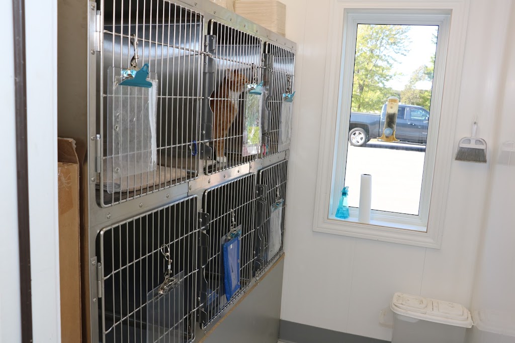 Pardeeville Veterinary Hospital | 409 S Main St, Pardeeville, WI 53954, USA | Phone: (608) 429-9930