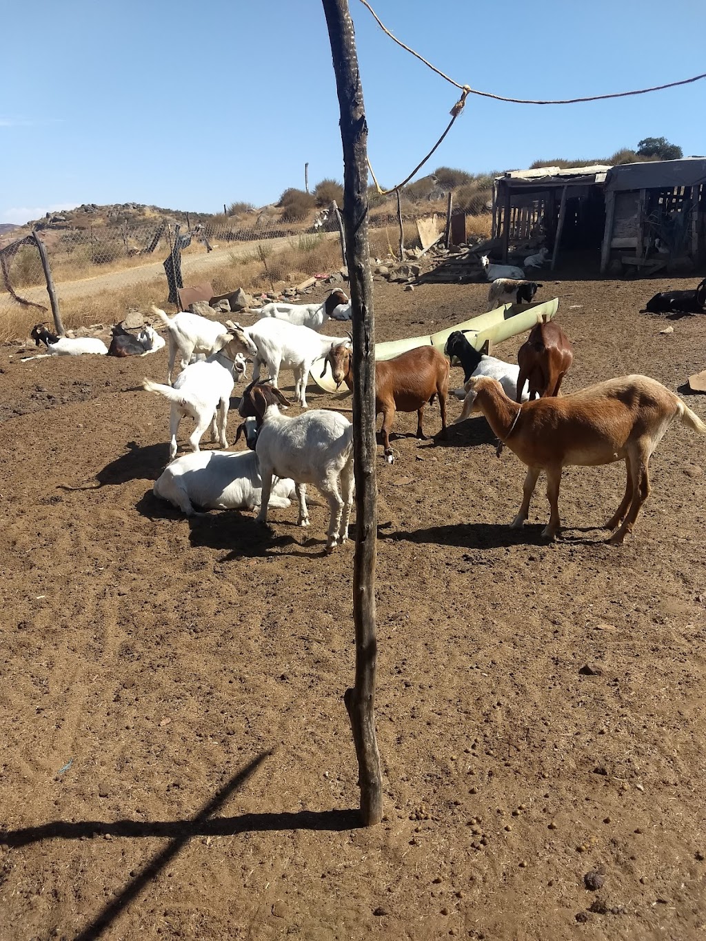 Rancho La Escondida. | Tecate, 21500 Baja California, Mexico | Phone: 663 124 8028