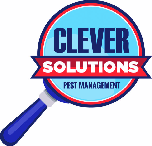 Clever Solutions LLC | 2890 GA-212 #273, Conyers, GA 30094, USA | Phone: (770) 761-8717