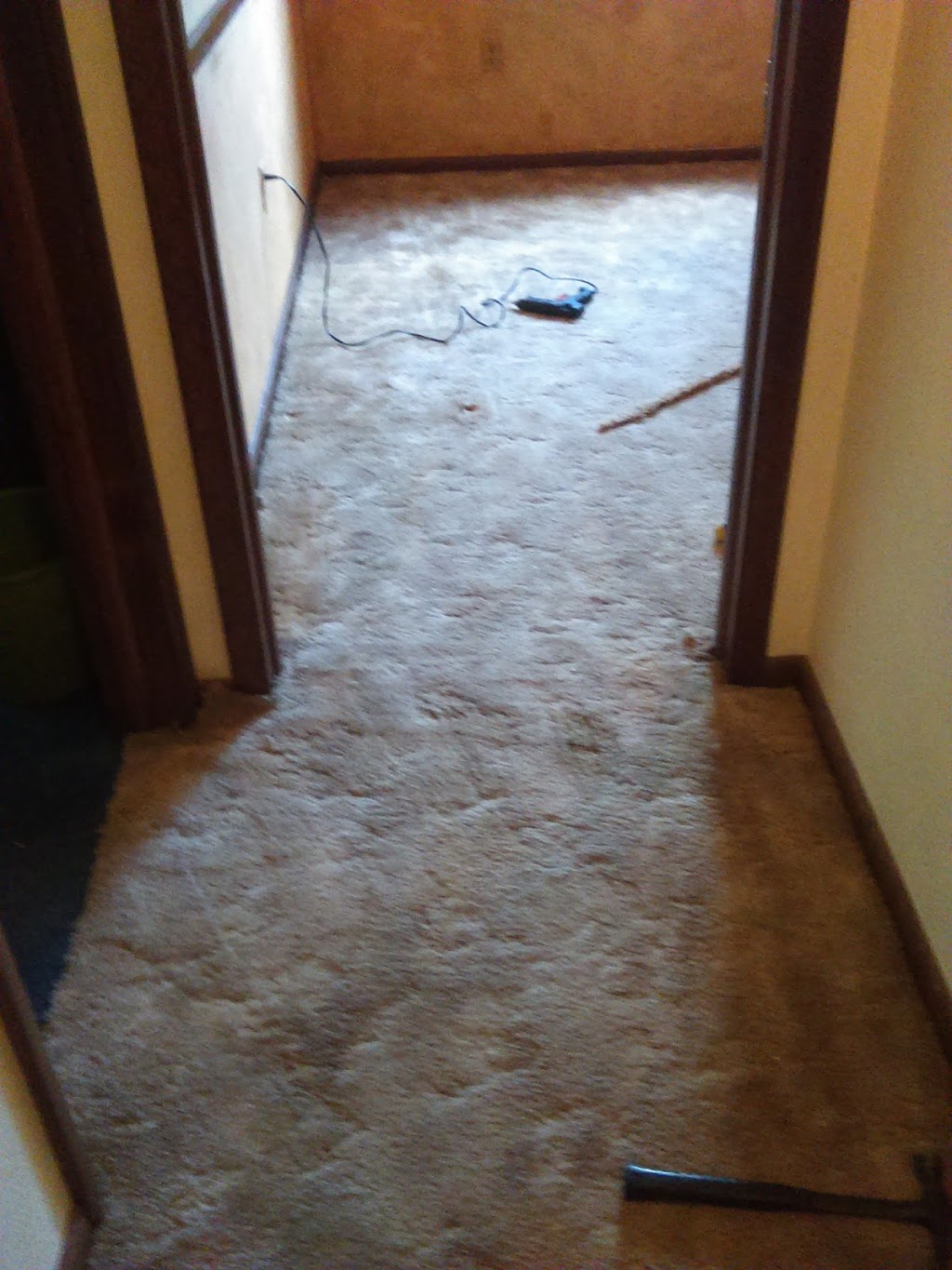 Anthos Carpet Repair & Installation | 100 santa rita lane, Butler, PA 16001, USA | Phone: (412) 403-1130