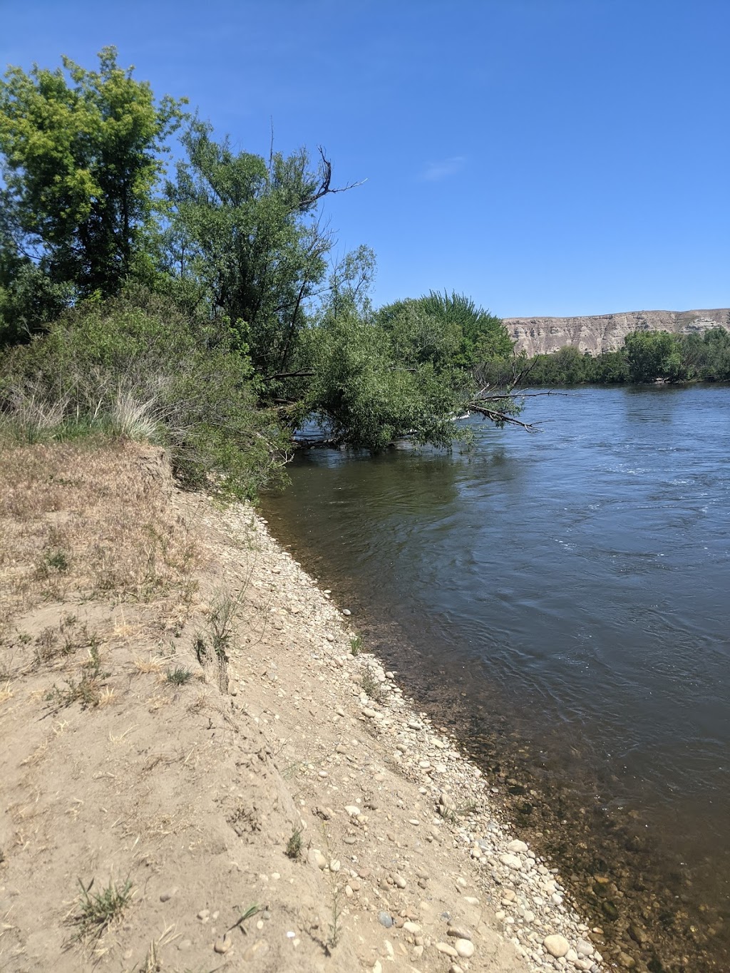 Payette River Wildlife Management Area | 4660 NW 2nd Ave, New Plymouth, ID 83655, USA | Phone: (208) 465-8465