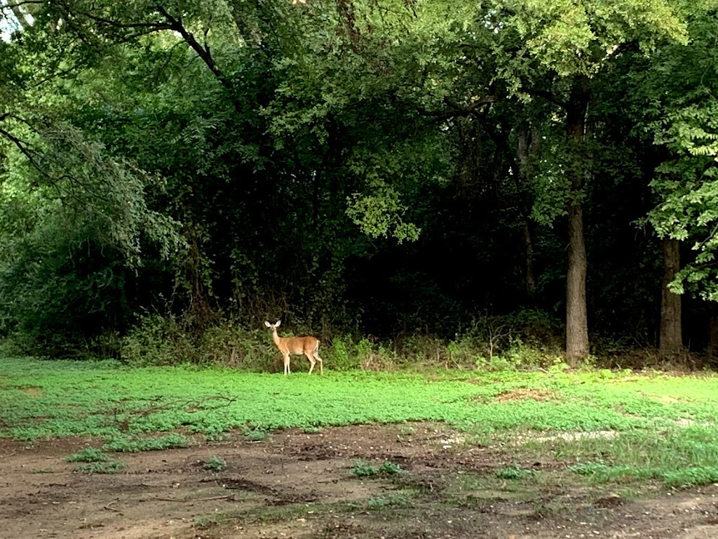 Country Ridge Mobile Home Park | 10100 Jacksboro Hwy, Fort Worth, TX 76135, USA | Phone: (682) 707-5770