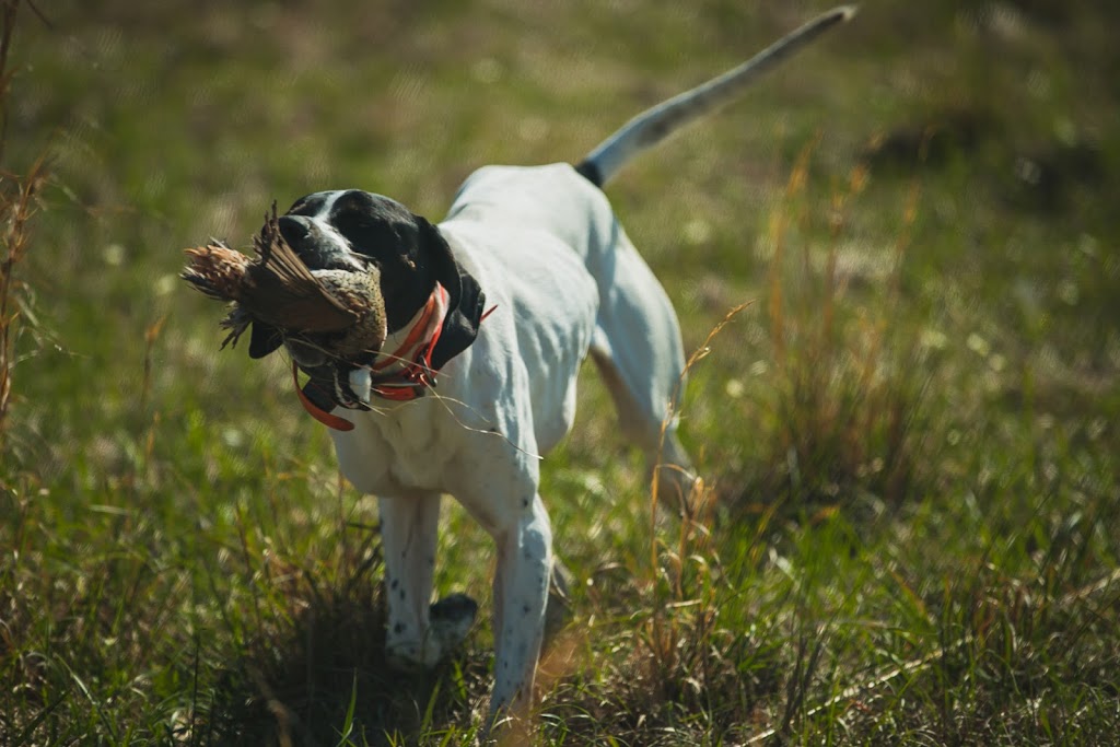 Covey Rise Lodge | 24009 Singing Waterfall Rd, Husser, LA 70442, USA | Phone: (985) 747-0310