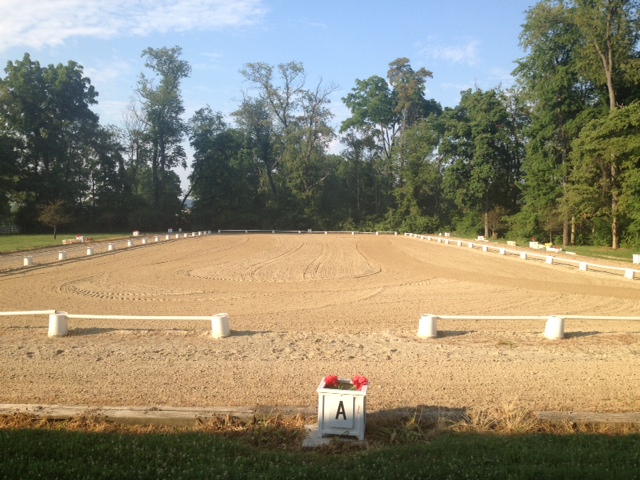 Timber Ridge Equestrian Center | 236 Race Track Rd, Ruffs Dale, PA 15679, USA | Phone: (878) 295-2431