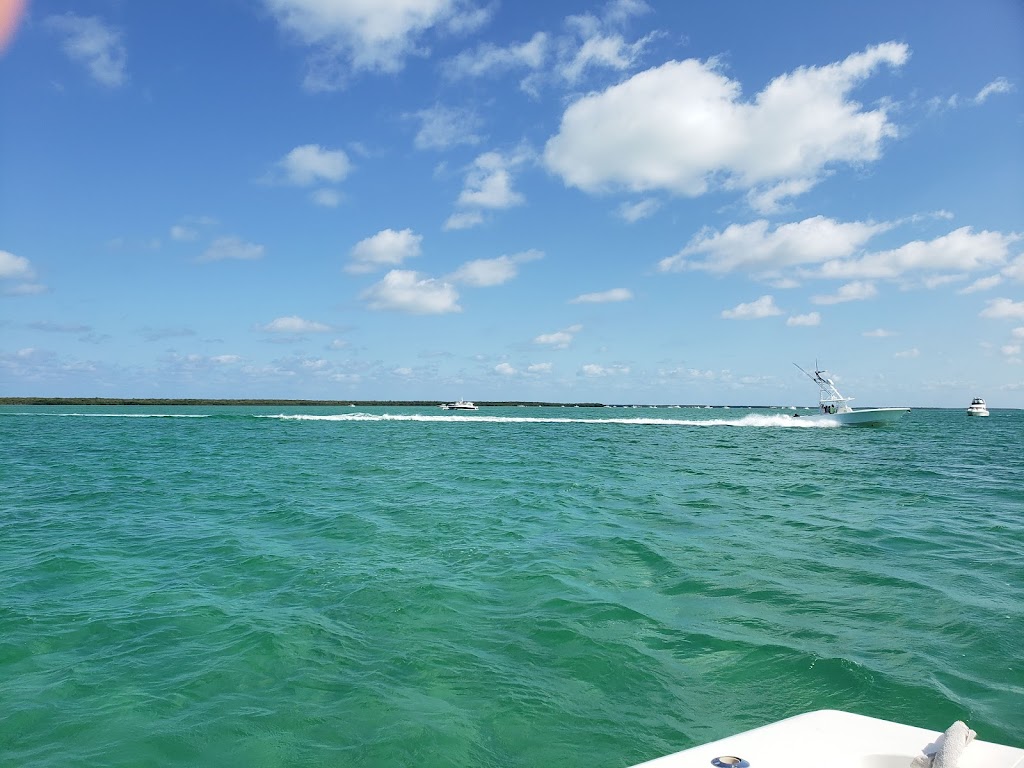 Biscayne National Park | Florida, USA | Phone: (305) 230-1144