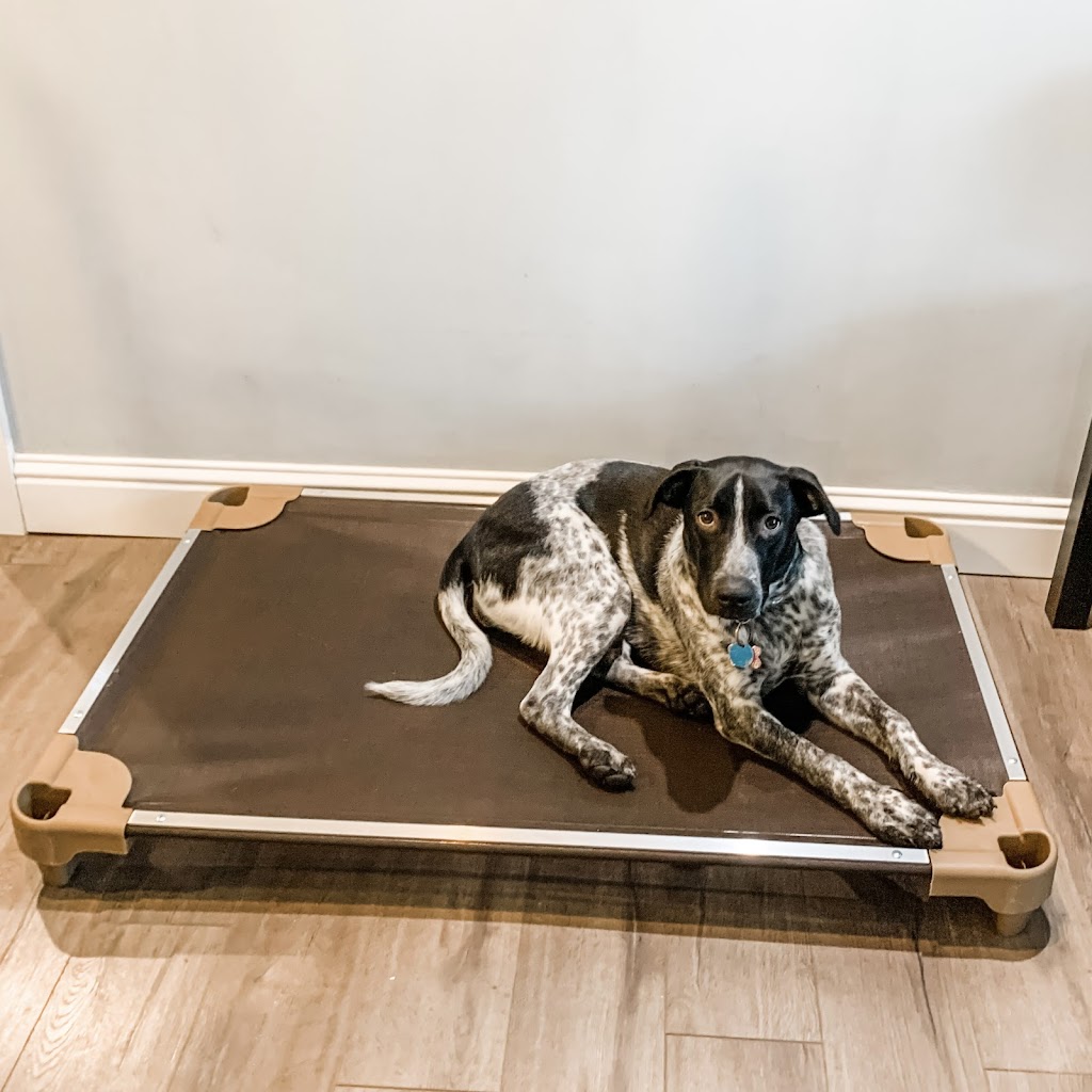 Pet Cot Company | 30 W Industrial Dr, OFallon, MO 63366, USA | Phone: (636) 240-8800