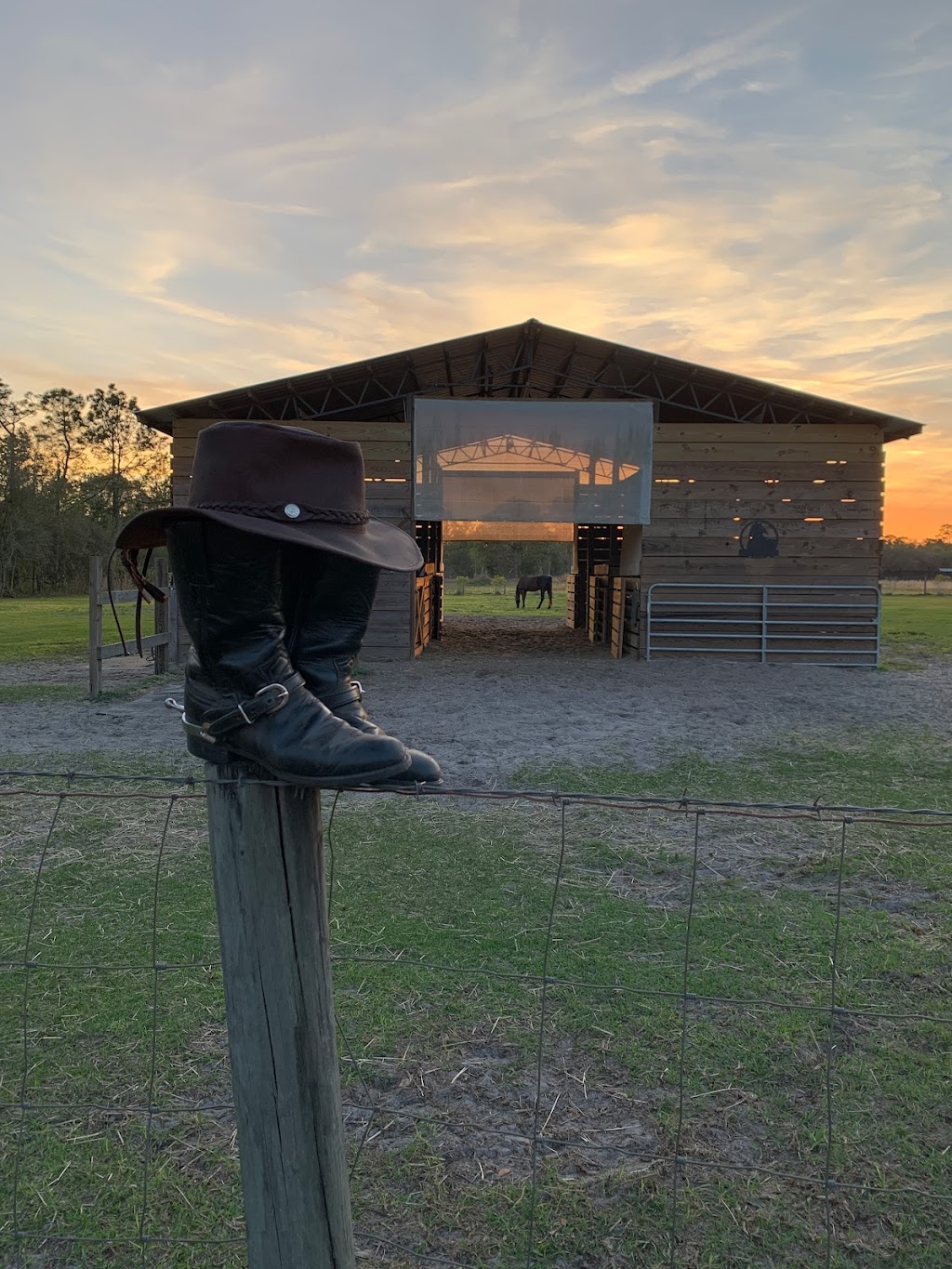 Thunders Run Ranch | Little Brown Church Rd, Pierson, FL 32180, USA | Phone: (904) 859-6415