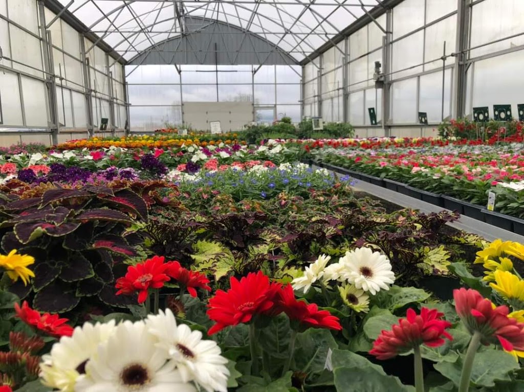 Regans Greenhouse at the Farm | Jefferson Township, OH 43160, USA | Phone: (740) 505-7441