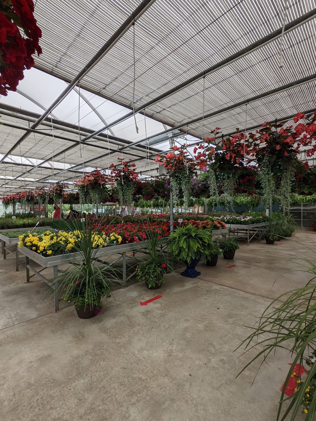 Midway Garden Centre | 2295 Fourth Avenue Louth, Jordan Station, ON L0R 1S0, Canada | Phone: (905) 562-3189