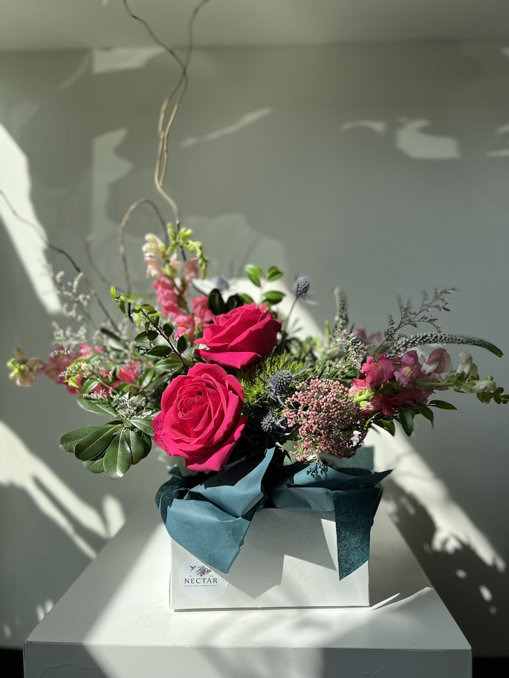 Nectar | 910 Pecan Ave, Charlotte, NC 28205, USA | Phone: (704) 905-9808