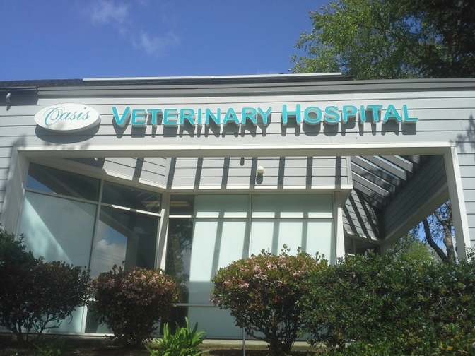 Oasis Veterinary Hospital | 6635 Alhambra Ave #100, Martinez, CA 94553, USA | Phone: (925) 954-8087