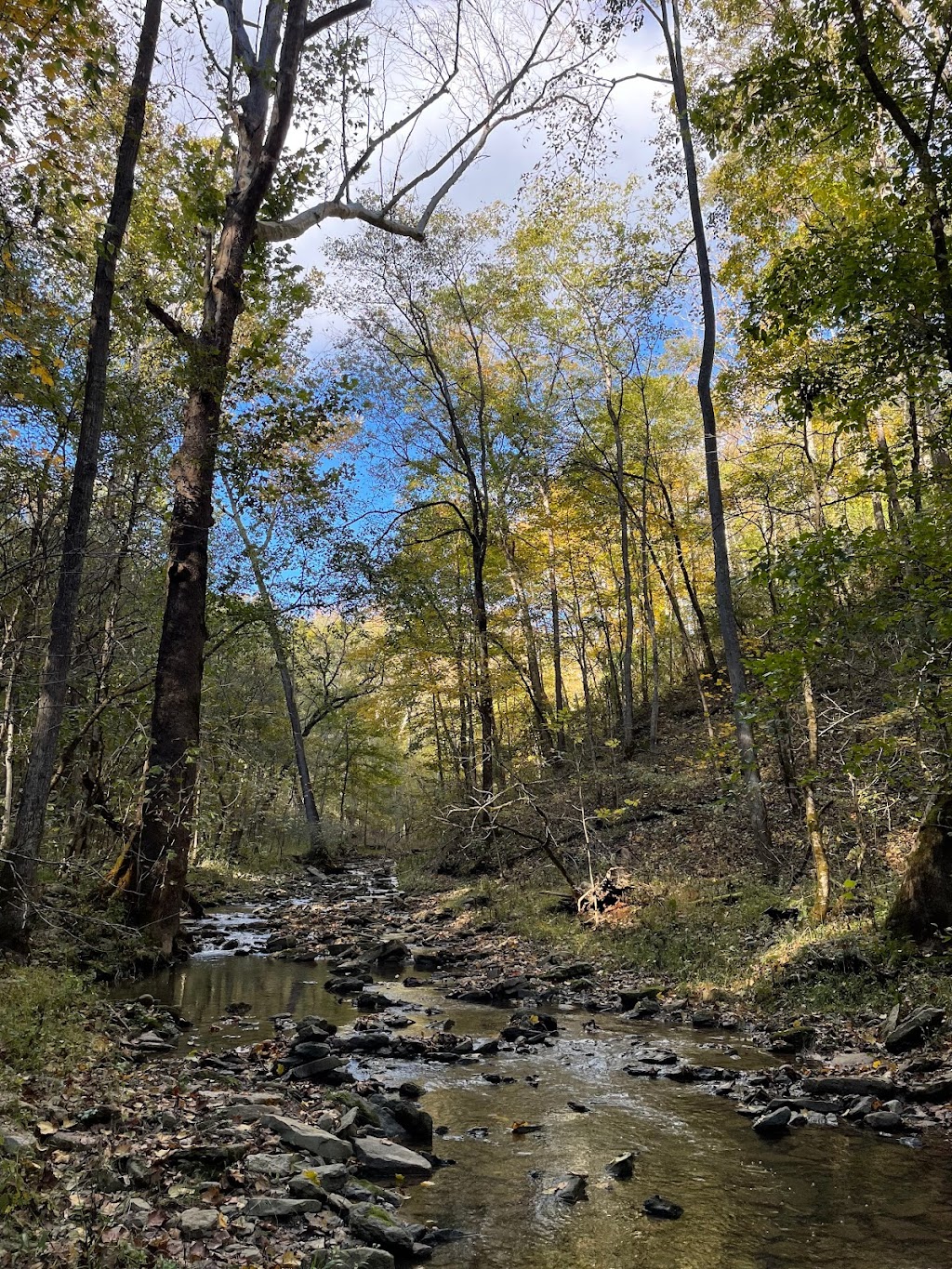 Vaughn Branch Nature Preserve | 160 Flynn Ave, Frankfort, KY 40601, USA | Phone: (502) 209-9581