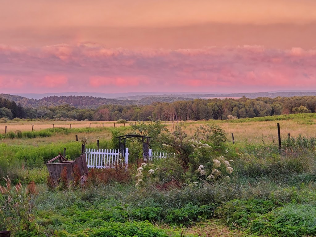 Beauty View Farm | 7356 Snyder Hill Rd, Cattaraugus, NY 14719, USA | Phone: (716) 474-3942