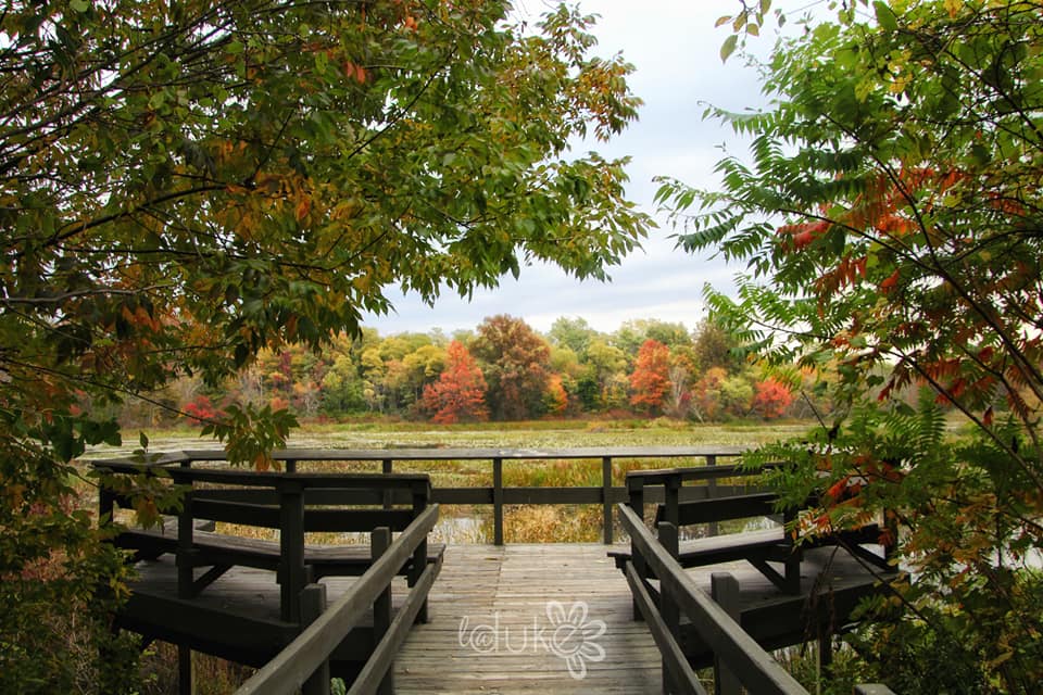 Arcola Creek Park | 941 Dock Rd, Madison, OH 44057, USA | Phone: (440) 358-7275