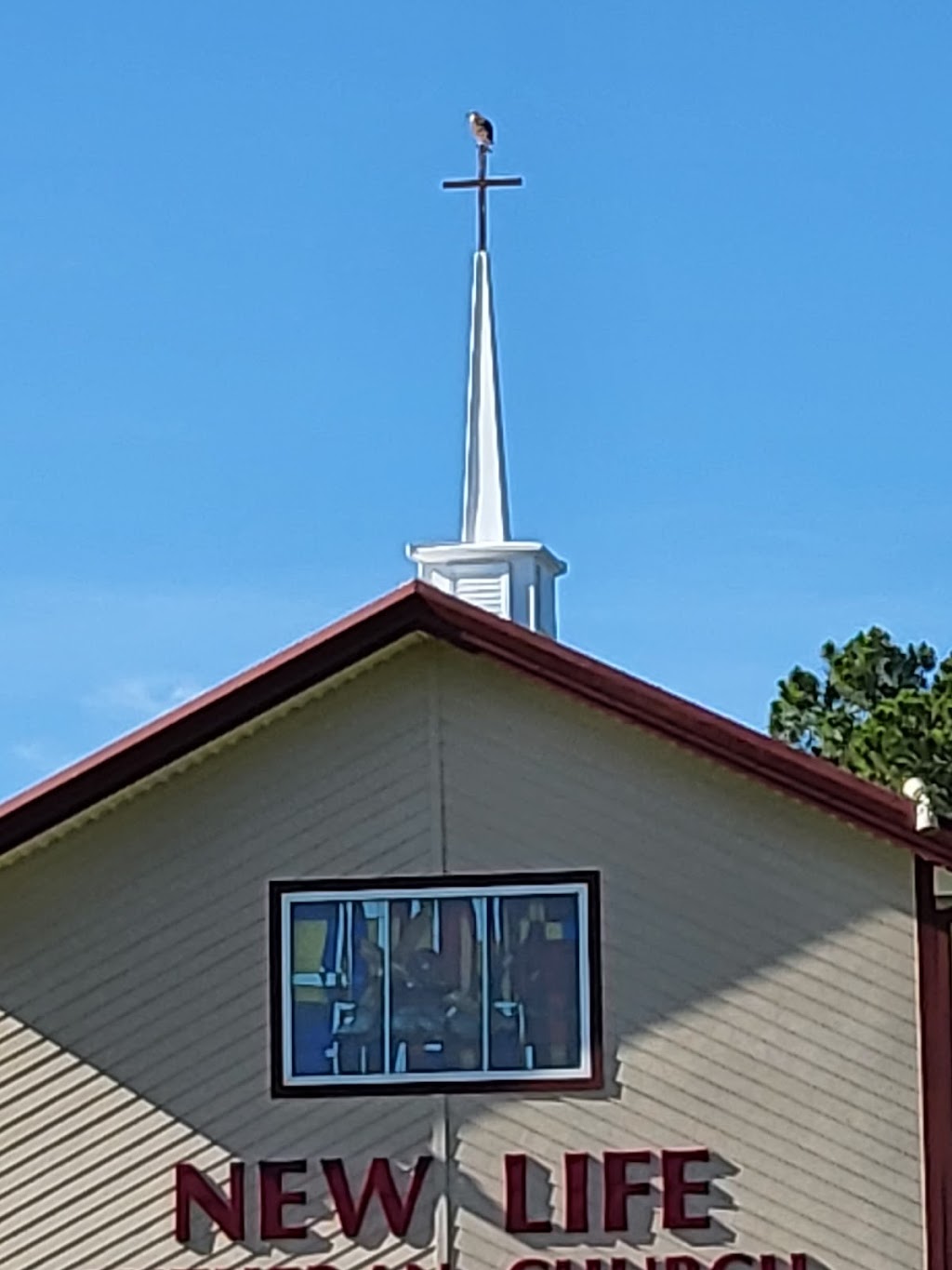 New Life Lutheran Church | 8010 Fruitville Rd, Sarasota, FL 34240, USA | Phone: (941) 378-0885