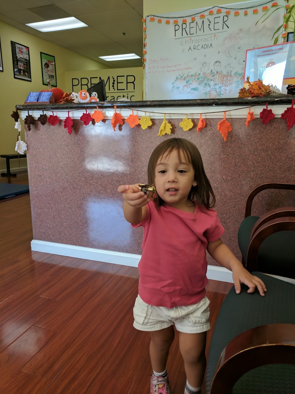 Premier Chiropractic of Arcadia | 411 E Huntington Dr #119, Arcadia, CA 91006, USA | Phone: (626) 888-1773