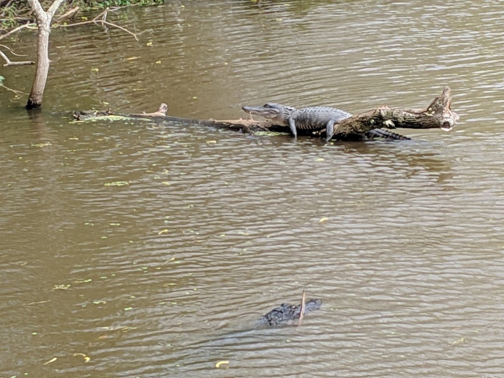 Jean Lafitte National Historical Park & Preserve | Marrero, LA 70072, USA | Phone: (504) 589-3882