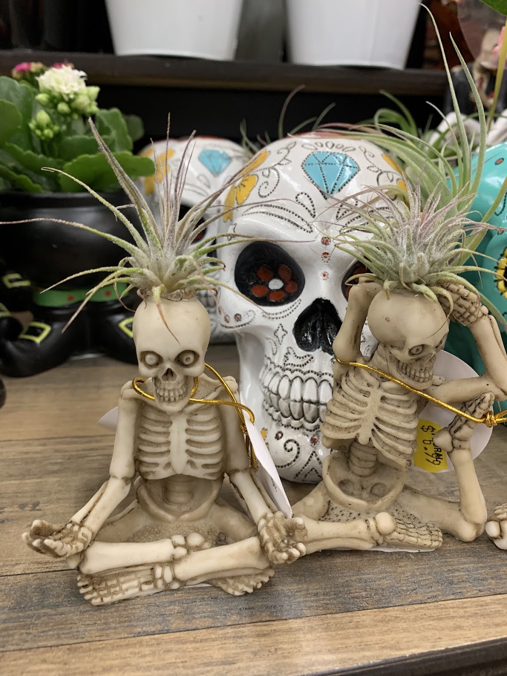 Norco Village | Corydon St &, River Rd, Norco, CA 92860, USA | Phone: (909) 946-7518