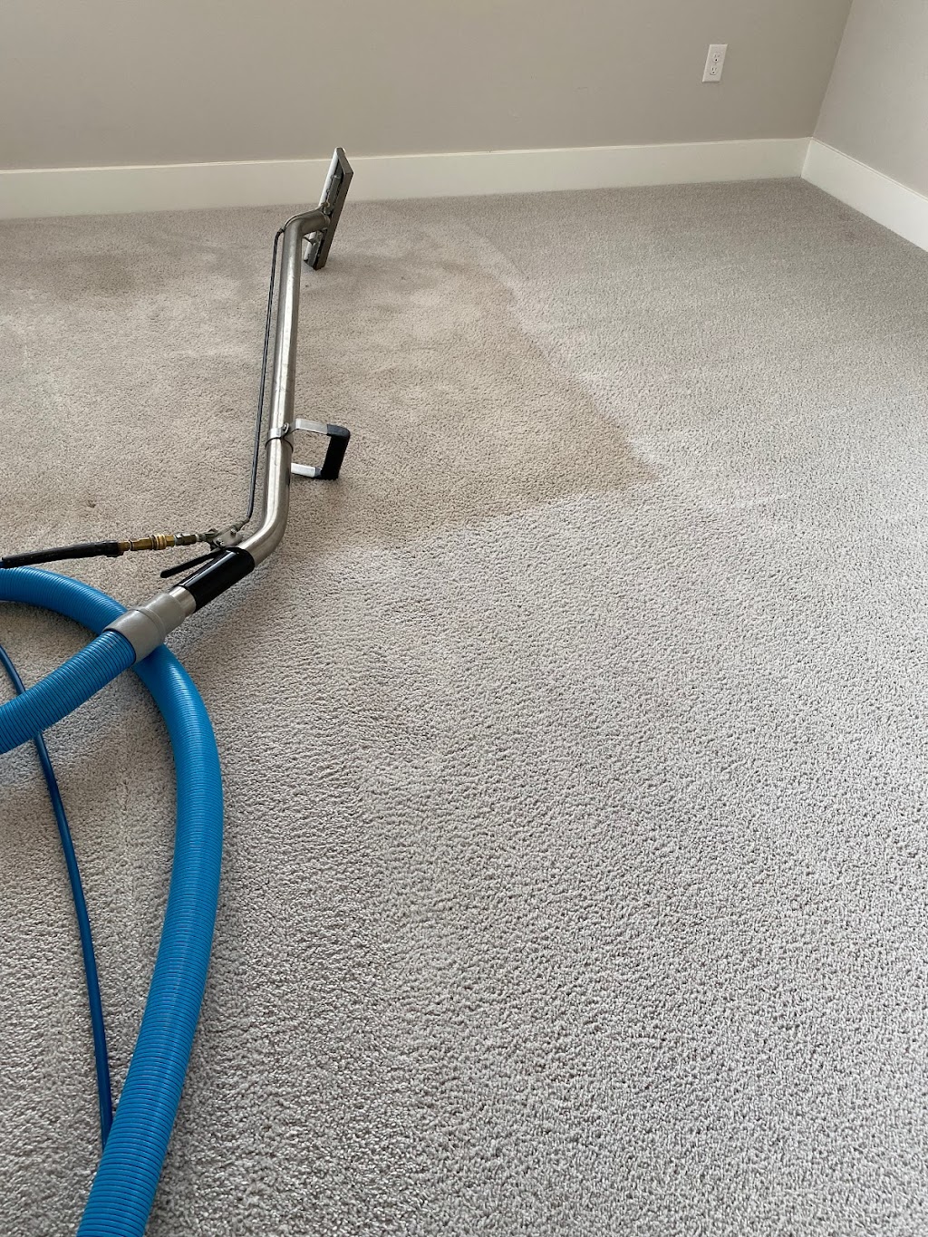 Revive Carpet Cleaning | 8411 299th Pl SE, Issaquah, WA 98027, USA | Phone: (425) 222-6037