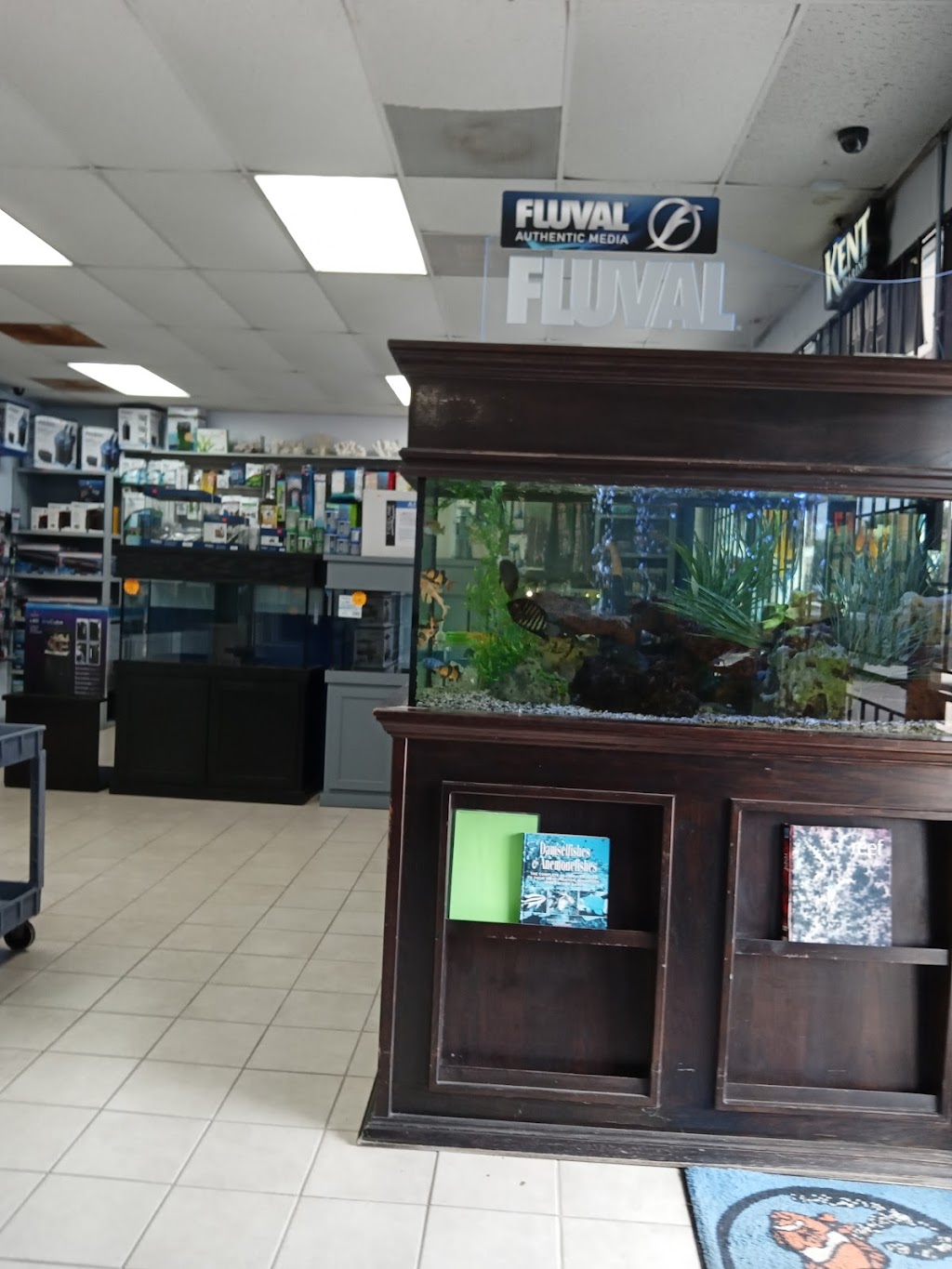 Aquatic Design Aquariums | 1629 N US 75-Central Expy 1000, Plano, TX 75075 | Phone: (972) 423-0414