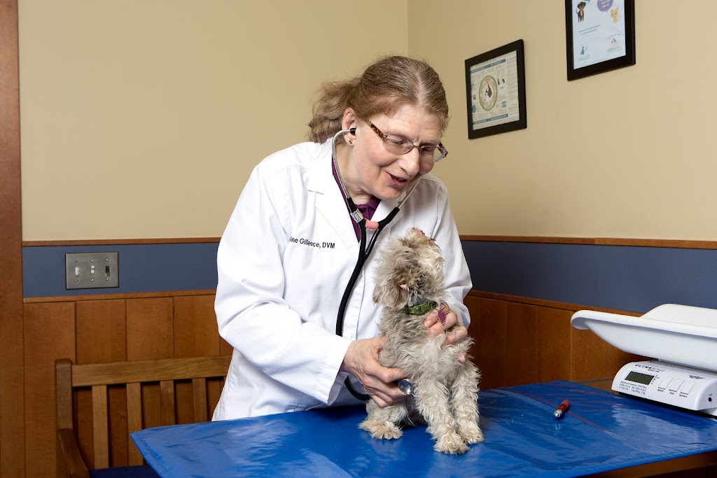 Dedham Veterinary Associates | 326 Bridge St, Dedham, MA 02026, USA | Phone: (781) 326-2800