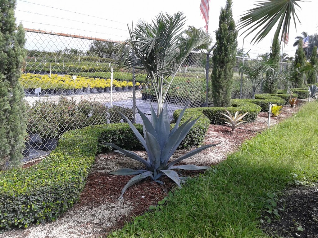 GREEN LAKE NURSERY | 20500 SW 177th Ave, Miami, FL 33187 | Phone: (305) 970-2222