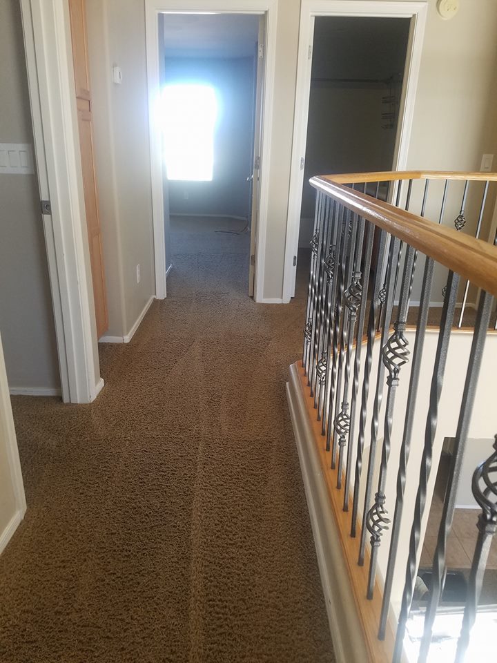 All Stars Carpet & Tile Cleaning | 743 W McLellan Blvd, Phoenix, AZ 85013, USA | Phone: (602) 319-6806