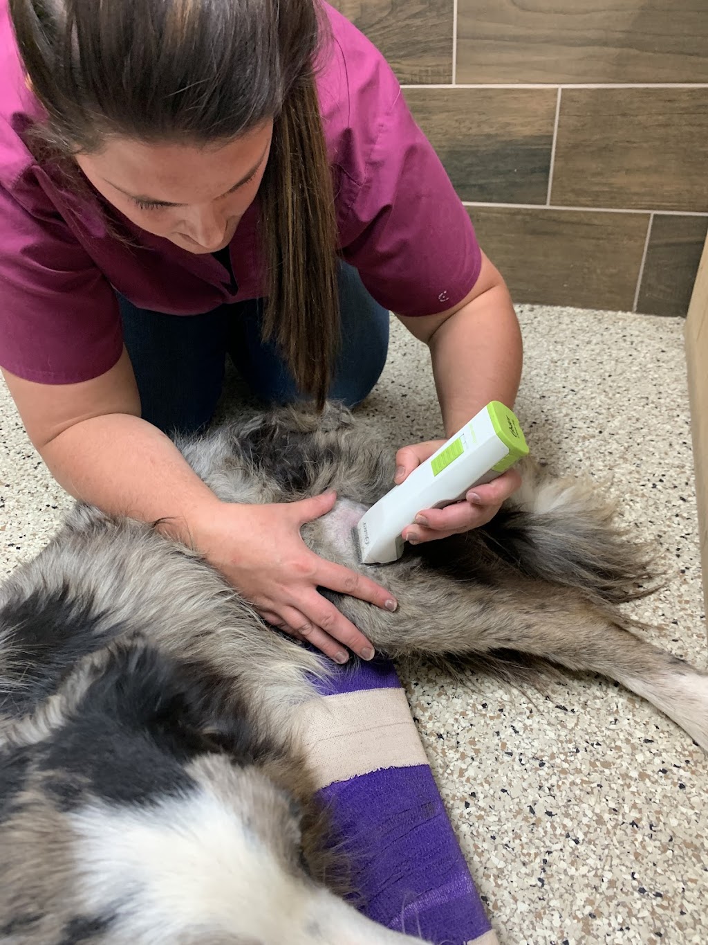 Heritage Veterinary Clinic | 4392 S FM 51, Decatur, TX 76234, USA | Phone: (940) 626-8284