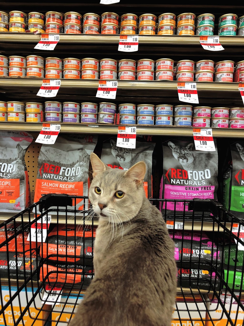 Pet Supplies Plus Bridgeville | 1155 Washington Pike, Bridgeville, PA 15017, USA | Phone: (412) 221-5325