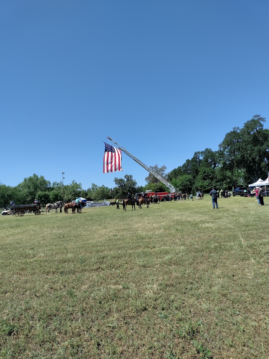 Off-Leash Dog Park | Park Rd, Elk Grove, CA 95624, USA | Phone: (916) 405-5355