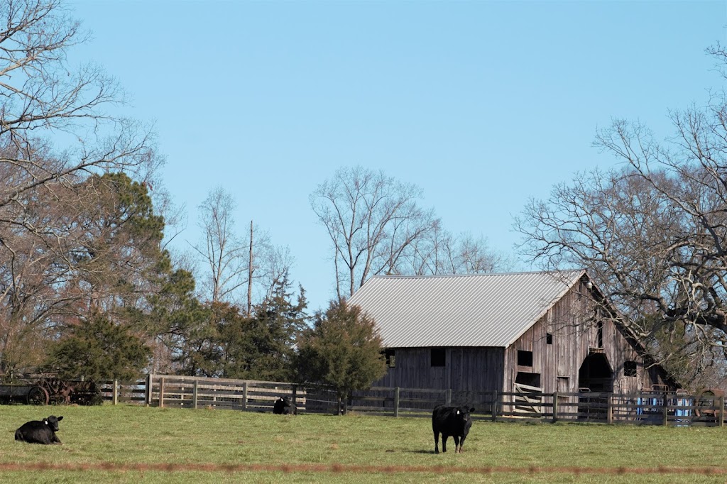 United Country Real Estate - Carolina Land & Farms, LLC | 222 Airport Rd, Star, NC 27356, USA | Phone: (910) 585-0800