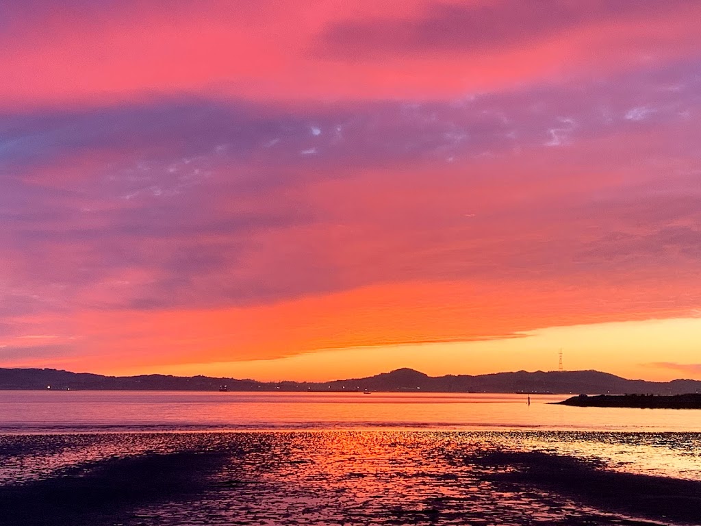 Doug Siden Visitor Center at Crab Cove | 1252 McKay Ave, Alameda, CA 94501, USA | Phone: (510) 544-3187