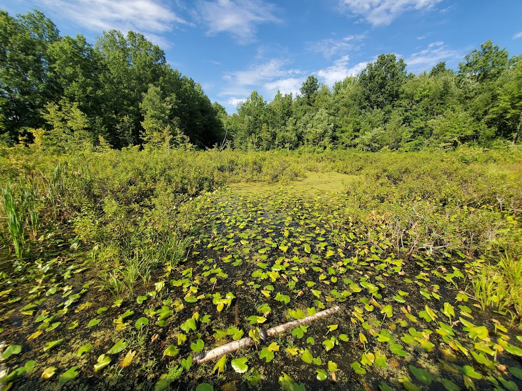 Great Swamp National Wildlife Refuge | New Vernon, NJ 07976, USA | Phone: (973) 425-1222