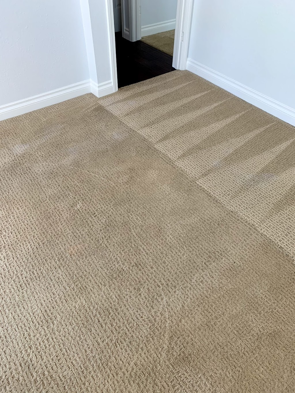 JTS Carpet Cleaning | 19331 Manor Point Cir, Huntington Beach, CA 92648 | Phone: (714) 606-7244