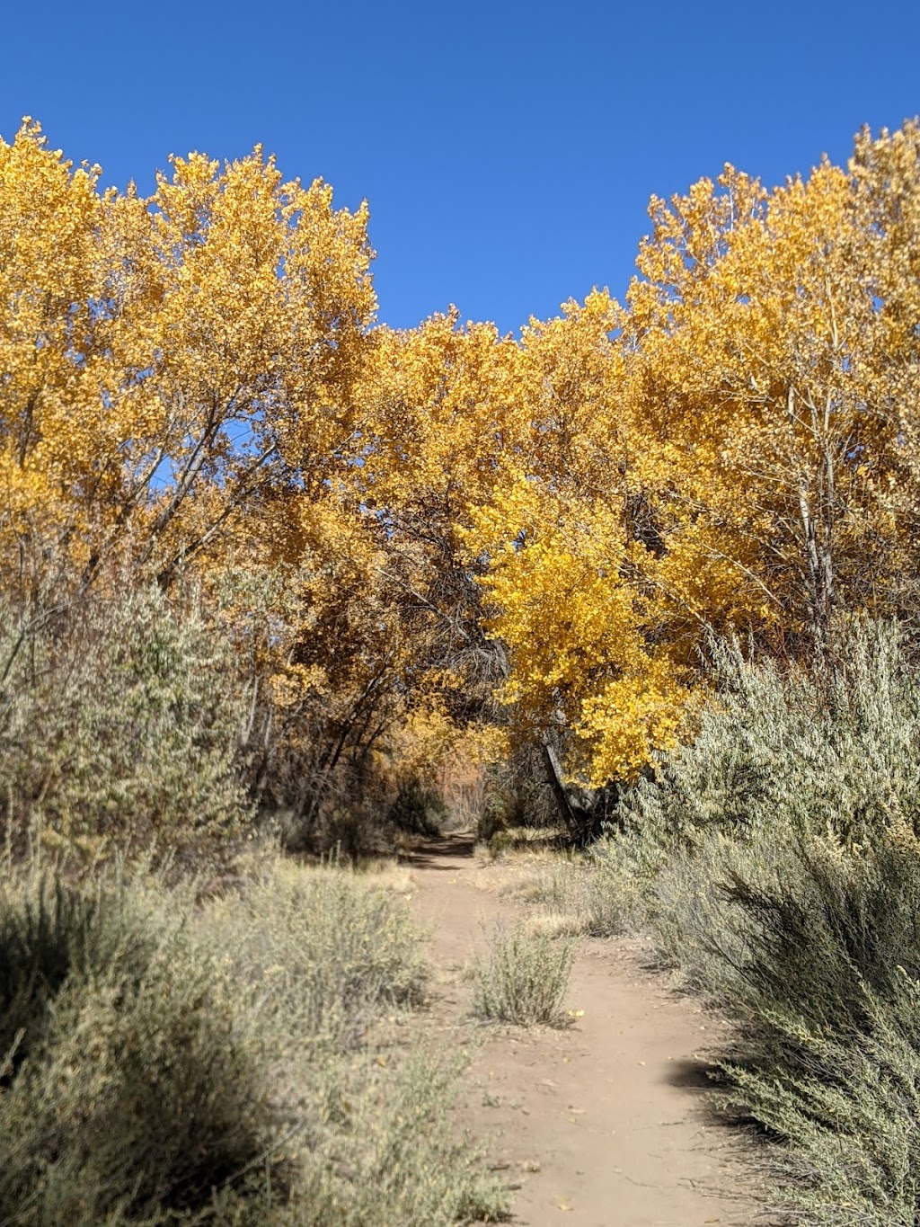 Pueblo Montaño Picnic Area and Trailhead | 4100-4112 Montaño Rd NW, Albuquerque, NM 87120, USA | Phone: (505) 344-7240