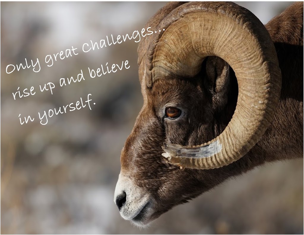 Meridian West Central College | 201 Montgomery Ave, Sarasota, FL 34243, USA | Phone: (941) 917-0000