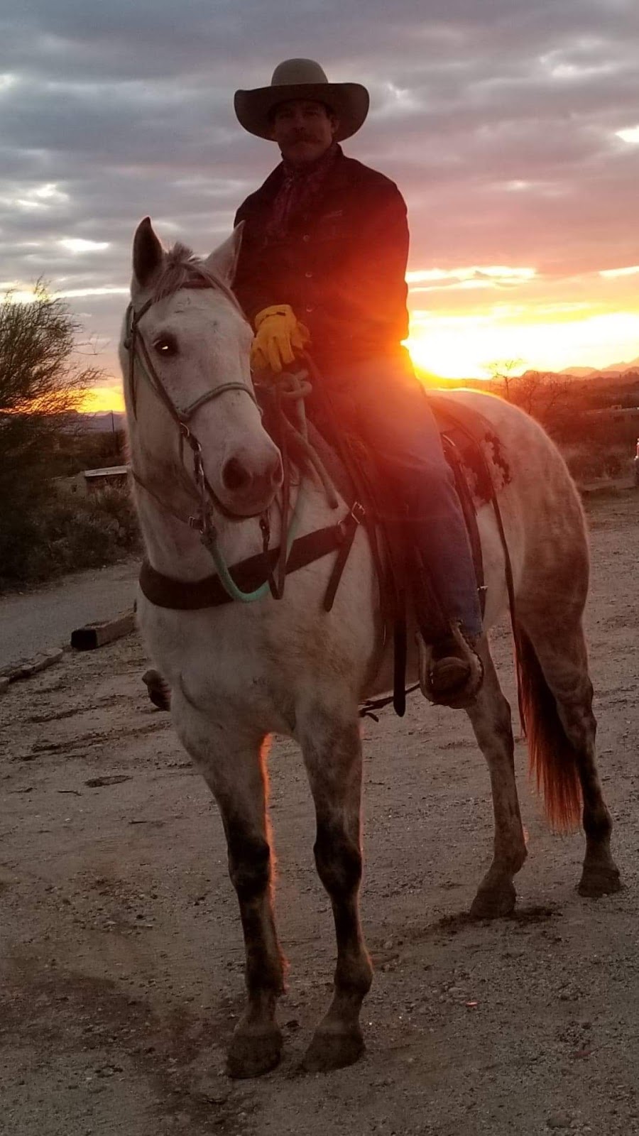 Catalina Horseback Riding | 245 E Ina Rd, Tucson, AZ 85704, USA | Phone: (520) 631-3787
