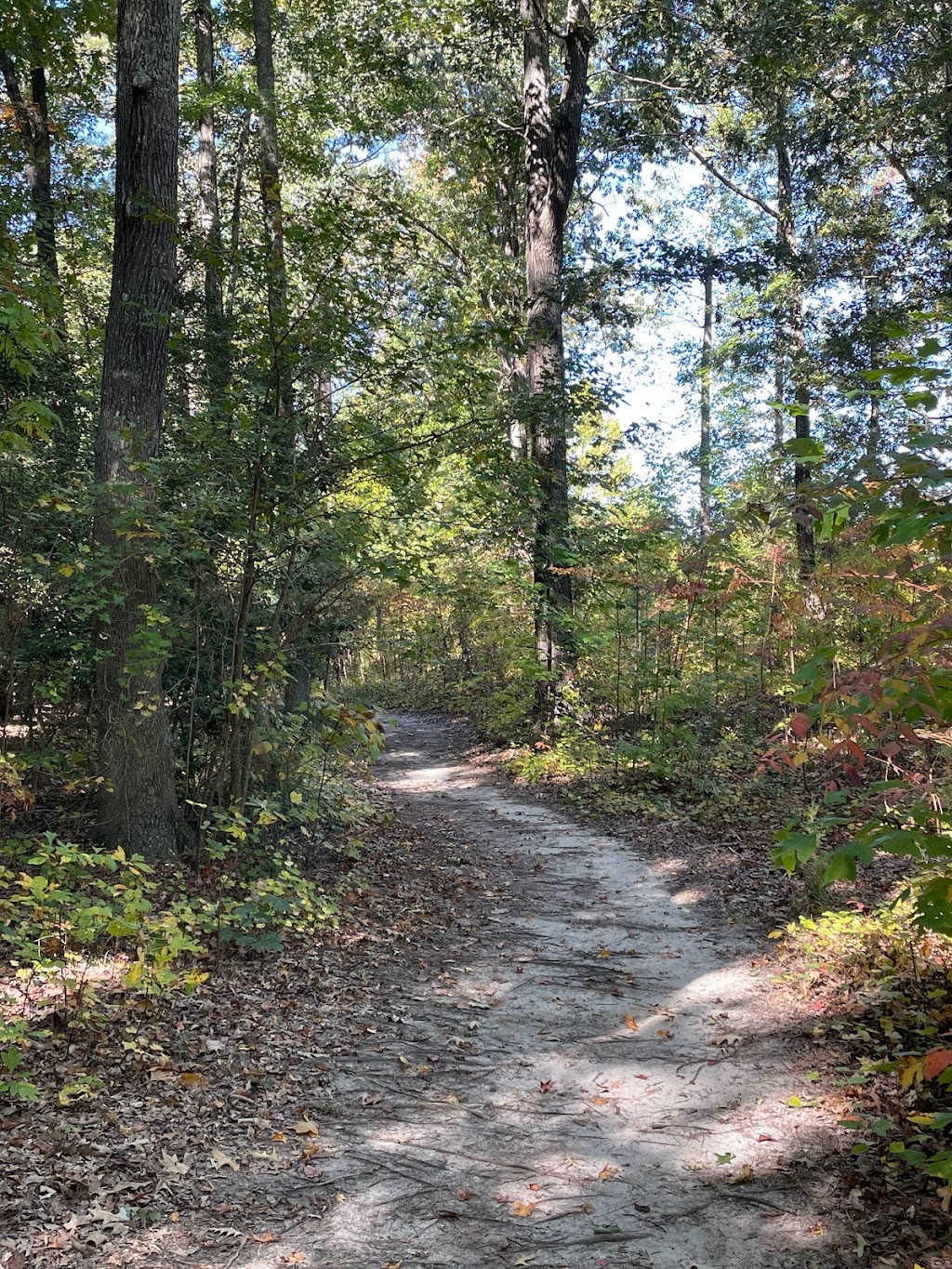 Machicomoco State Park Campground | 3601 Timberneck Farm Rd, Hayes, VA 23072, USA | Phone: (804) 642-2419