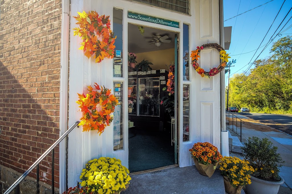 Something Different In Flowers | 399 Leverington Ave, Philadelphia, PA 19128, USA | Phone: (215) 483-1207