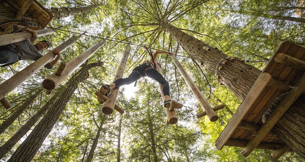 Adirondack Extreme Adventure Course | 35 Westwood Forest Lane, Bolton Landing, NY 12814 | Phone: (518) 494-7200