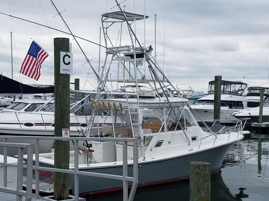 York River Charters | 8109 Yacht Haven Rd, Gloucester Point, VA 23062, USA | Phone: (757) 645-8397
