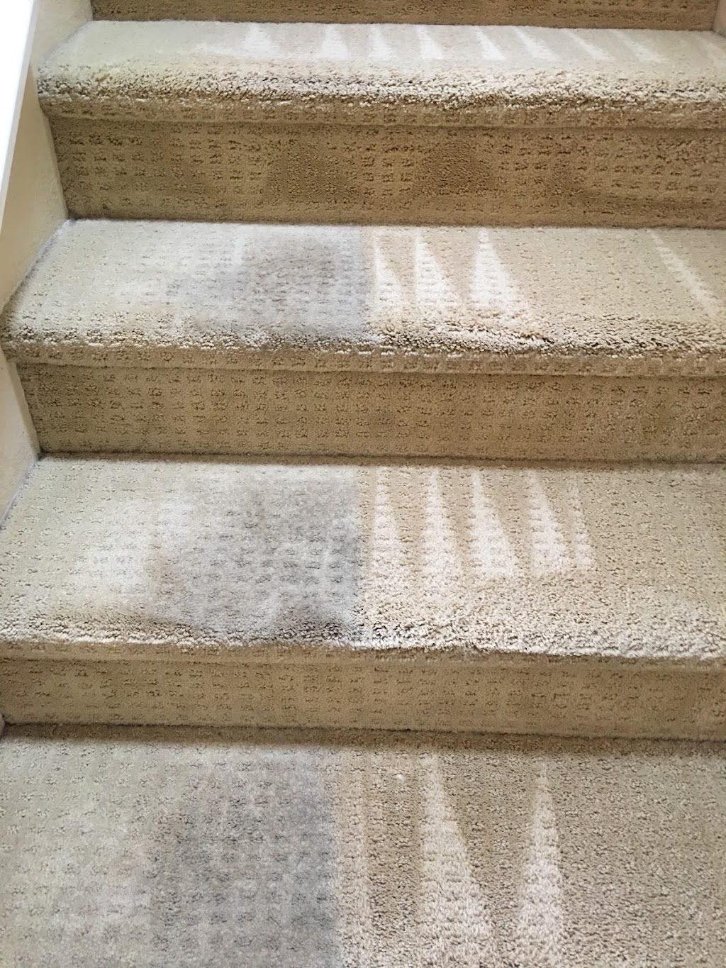 JTS Carpet Cleaning | 19331 Manor Point Cir, Huntington Beach, CA 92648 | Phone: (714) 606-7244