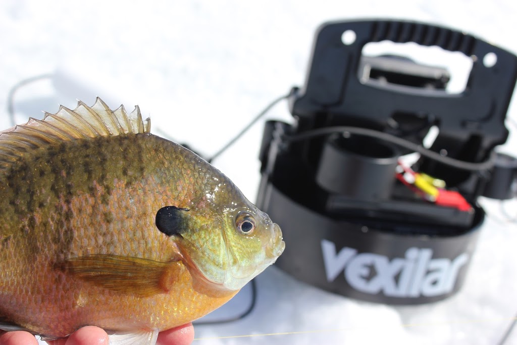 Vexilar Inc | 6667 W Old Shakopee Rd UNIT 101, Minneapolis, MN 55438, USA | Phone: (952) 884-5291