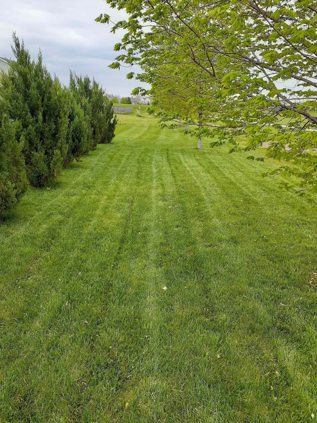 Johnnys Lawncare Services LLC | 389 Longview Bend, Brownsburg, IN 46112, USA | Phone: (937) 272-3367