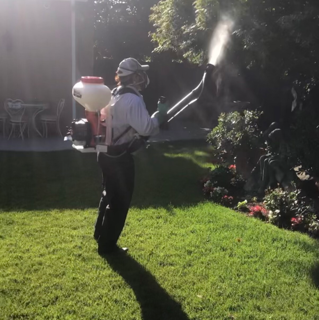 Team Green Pest Control, Lawn Fertilization and Weed Control | 5757 E Clinton Ave #105, Fresno, CA 93727, USA | Phone: (559) 283-8442