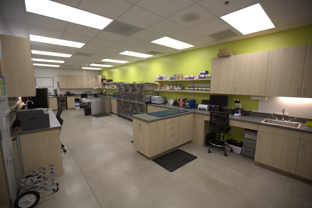 THRIVE Affordable Vet Care | 27580 W Lugonia Ave, Redlands, CA 92374, USA | Phone: (909) 748-1858