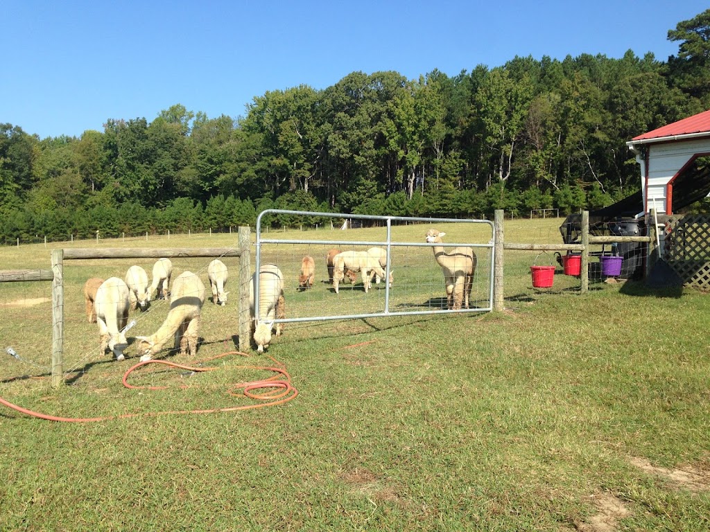 Alpacas at Cherry Run, LLC | 79 Vista Ridge Dr, Willow Spring, NC 27592, USA | Phone: (919) 622-0339