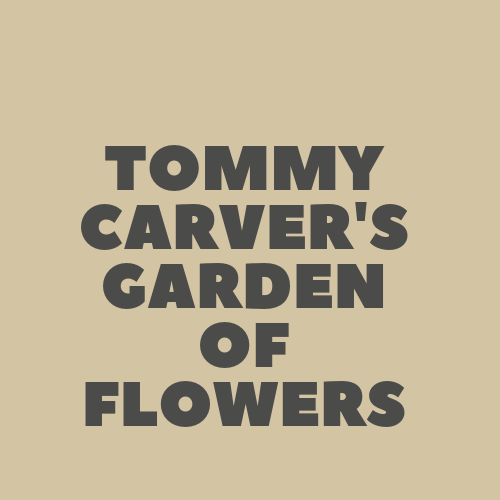 Tommy Carvers Garden of Flowers | 6178 Olson Memorial Hwy, Minneapolis, MN 55422, USA | Phone: (612) 746-4500